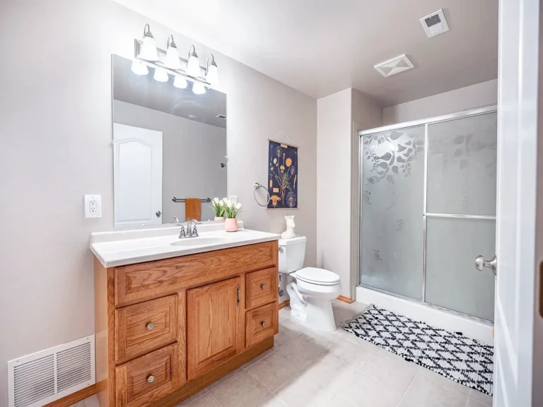 Basement Bathroom